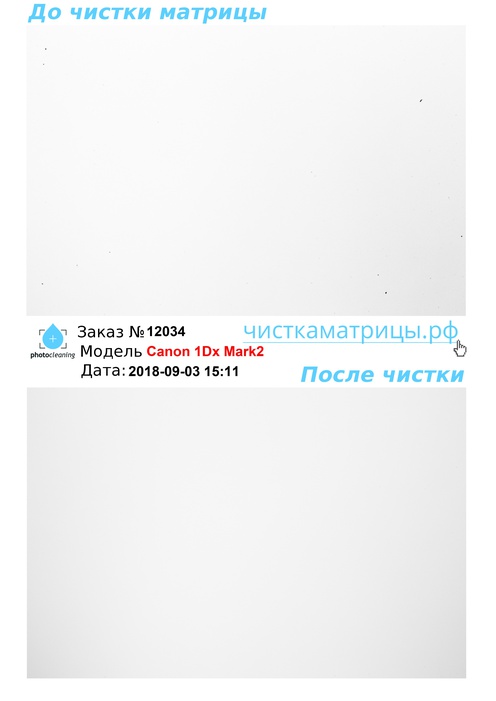 Чистка матрицы Canon 1Dx Mark2 Чистка матрицы Canon 1Dx Mark2
