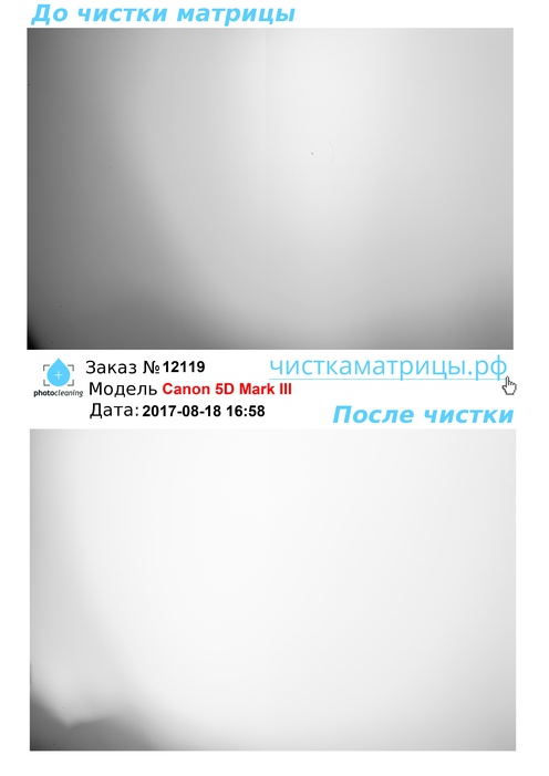 Чистка матрицы Canon 5D Mark III Чистка матрицы Canon 5D Mark III