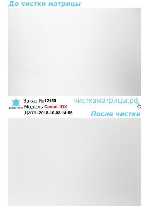 Чистка матрицы Canon 1DX Чистка матрицы Canon 1DX