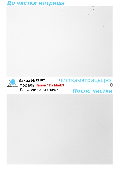 Чистка матрицы Canon 1Ds Mark3 Чистка матрицы Canon 1Ds Mark3