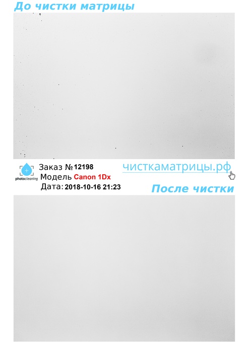 Чистка матрицы Canon 1Dx Чистка матрицы Canon 1Dx