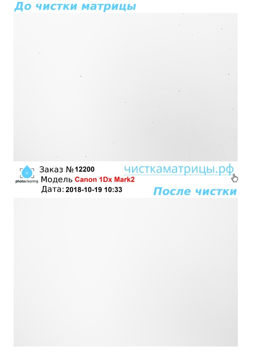 Чистка матрицы Canon 1Dx Mark2 Чистка матрицы Canon 1Dx Mark2