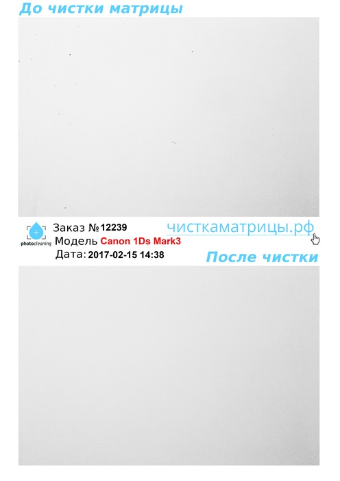 Чистка матрицы Canon 1Ds Mark3 Чистка матрицы Canon 1Ds Mark3