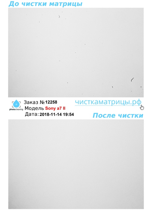 Чистка матрицы Sony a7 II Чистка матрицы Sony a7 II