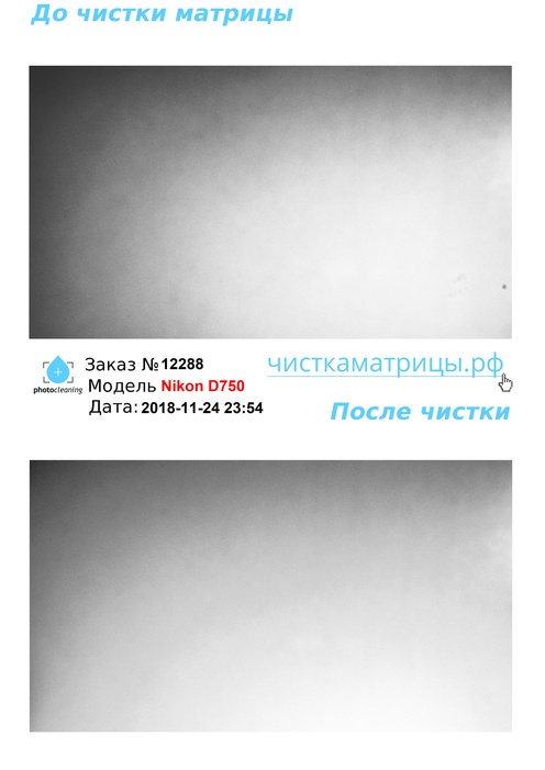 Чистка матрицы Nikon D750 Чистка матрицы Nikon D750