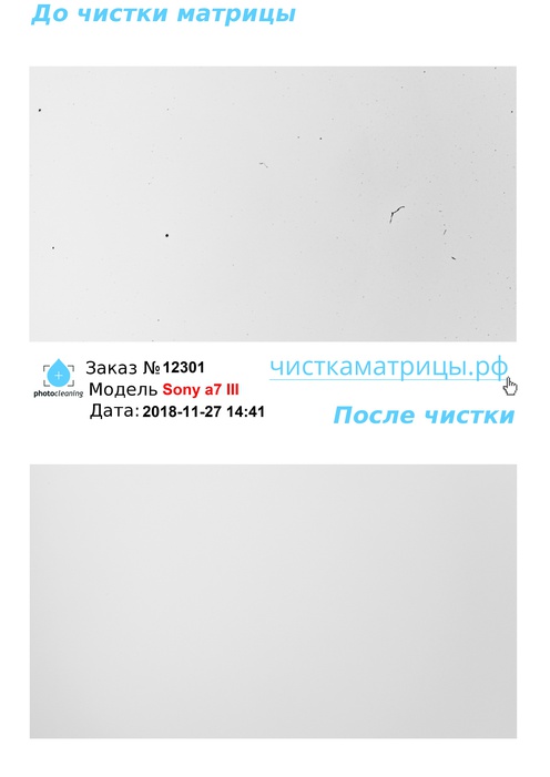 Чистка матрицы Sony a7 III Чистка матрицы Sony a7 III