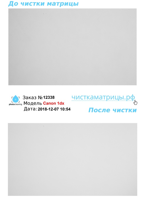 Чистка матрицы Canon 1dx Чистка матрицы Canon 1dx