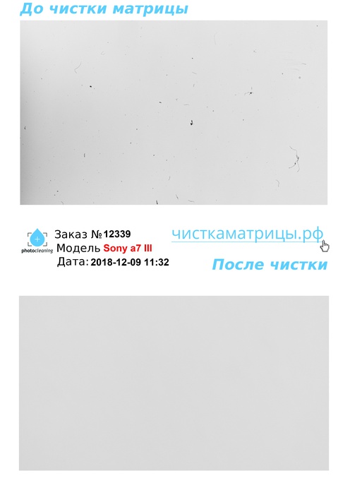 Чистка матрицы Sony a7 III Чистка матрицы Sony a7 III