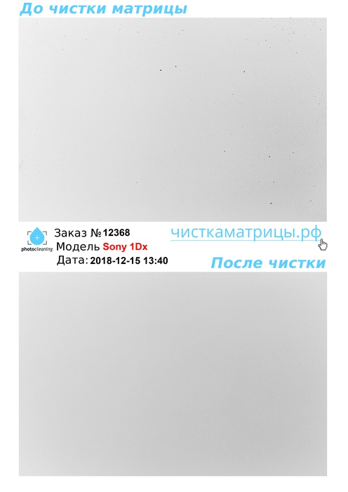 Чистка матрицы Sony 1Dx Чистка матрицы Sony 1Dx