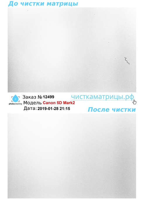 Чистка матрицы Canon 5D Mark2 Чистка матрицы Canon 5D Mark2