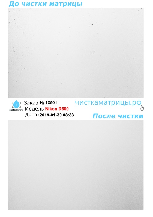 Чистка матрицы Nikon D600 Чистка матрицы Nikon D600