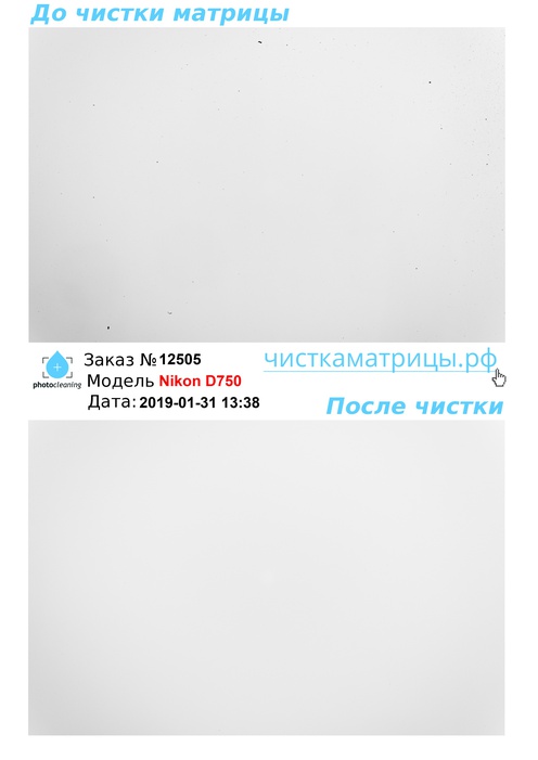 Чистка матрицы Nikon D750 Чистка матрицы Nikon D750