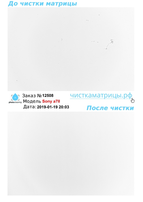 Чистка матрицы Sony a7II Чистка матрицы Sony a7II
