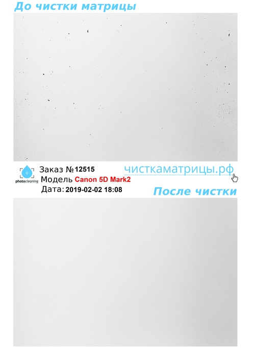 Чистка матрицы Canon 5D Mark2 Чистка матрицы Canon 5D Mark2