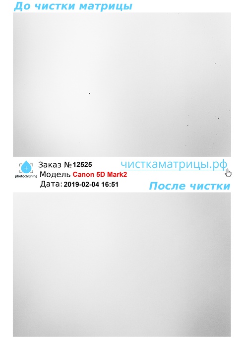 Чистка матрицы Canon 5D Mark2 Чистка матрицы Canon 5D Mark2