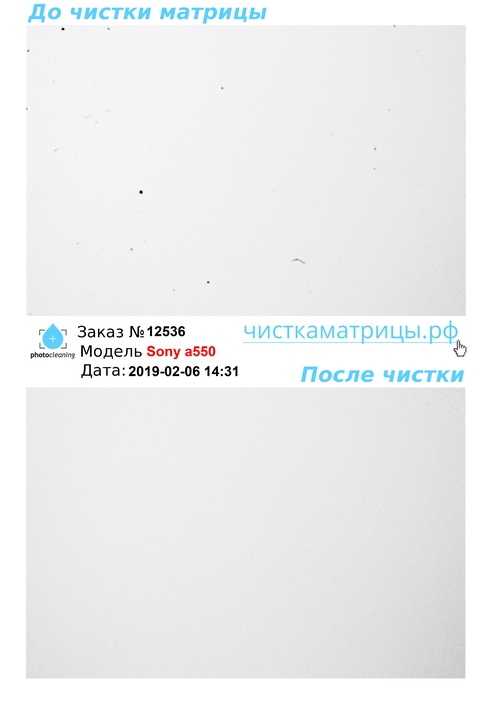 Чистка матрицы Sony a550 Чистка матрицы Sony a550
