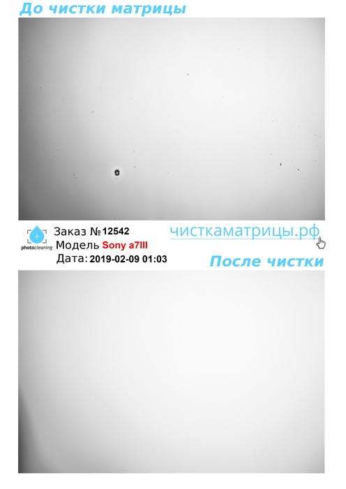 Чистка матрицы Sony a7III Чистка матрицы Sony a7III