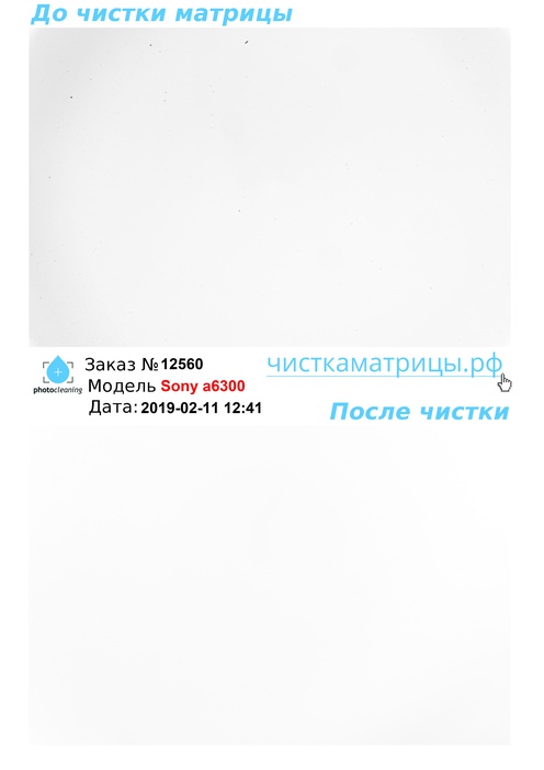 Чистка матрицы Sony a6300 Чистка матрицы Sony a6300