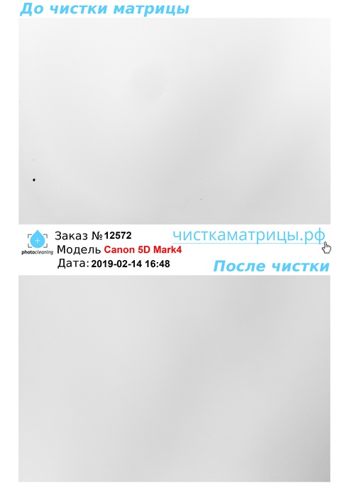 Чистка матрицы Canon 5D Mark4 Чистка матрицы Canon 5D Mark4