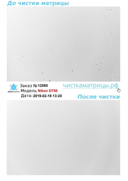 Чистка матрицы Nikon D750 Чистка матрицы Nikon D750