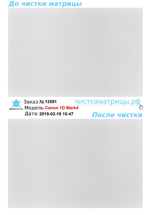 Чистка матрицы Canon 1D Mark4 Чистка матрицы Canon 1D Mark4
