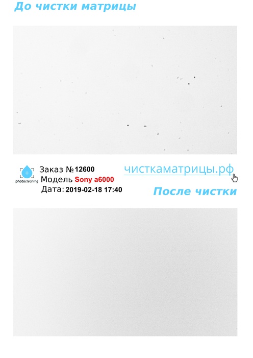 Чистка матрицы Sony a6000 Чистка матрицы Sony a6000