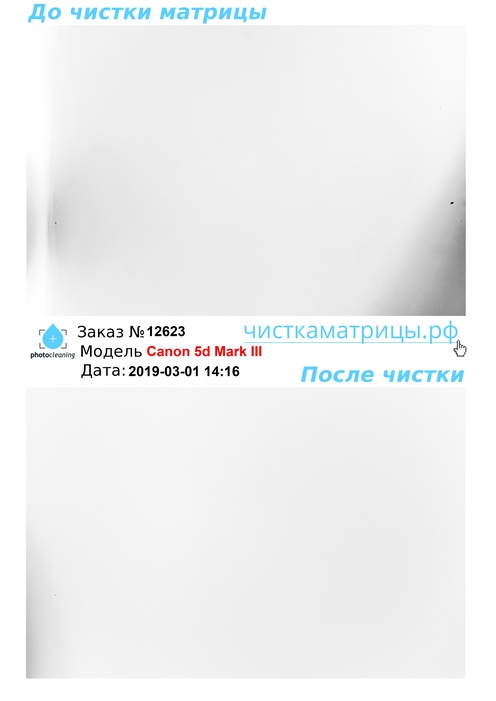 Чистка матрицы Canon 5d Mark III Чистка матрицы Canon 5d Mark III