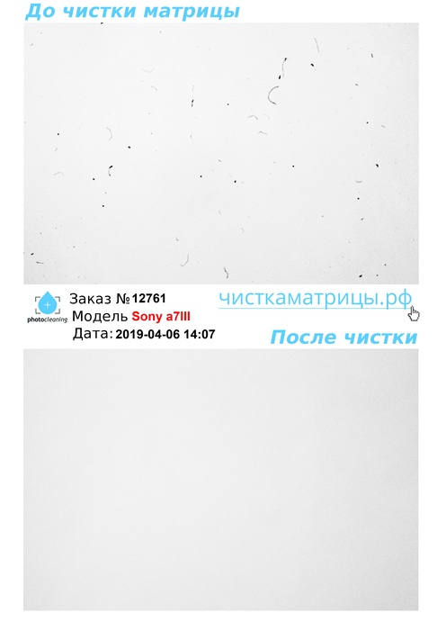 Чистка матрицы Sony a7III Чистка матрицы Sony a7III