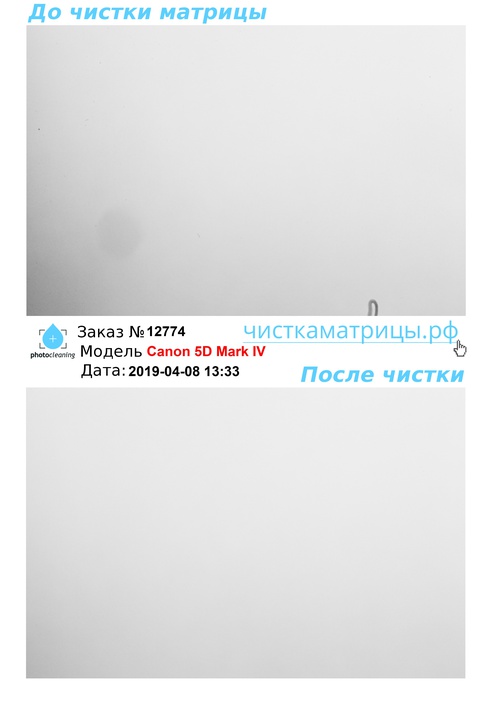 Чистка матрицы Canon 5D Mark IV Чистка матрицы Canon 5D Mark IV