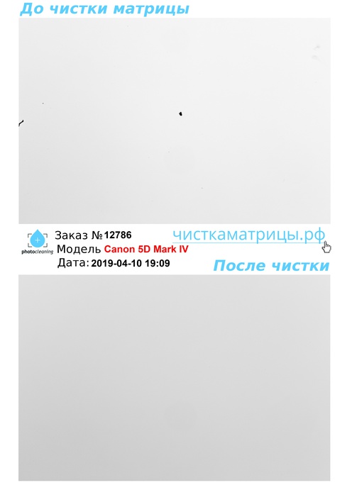 Чистка матрицы Canon 5D Mark IV Чистка матрицы Canon 5D Mark IV