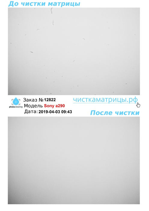Чистка матрицы Sony a290 Чистка матрицы Sony a290