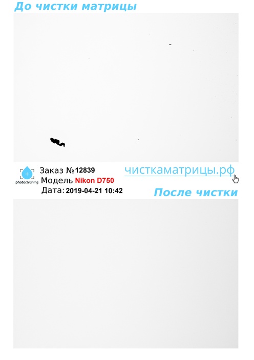 Чистка матрицы Nikon D750 Чистка матрицы Nikon D750