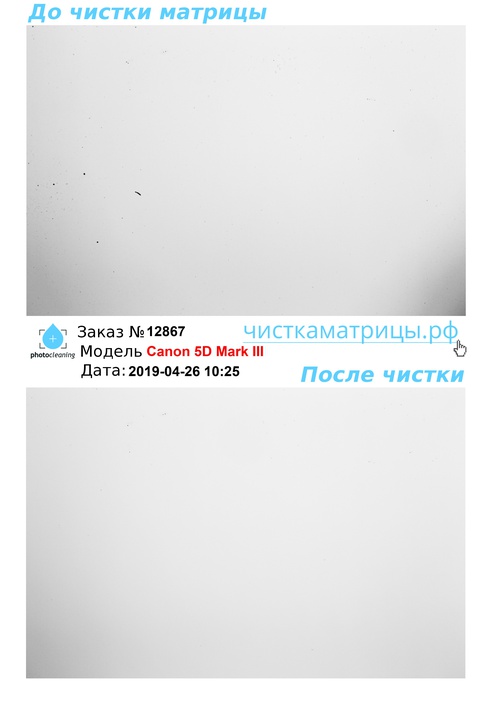 Чистка матрицы Canon 5D Mark III Чистка матрицы Canon 5D Mark III