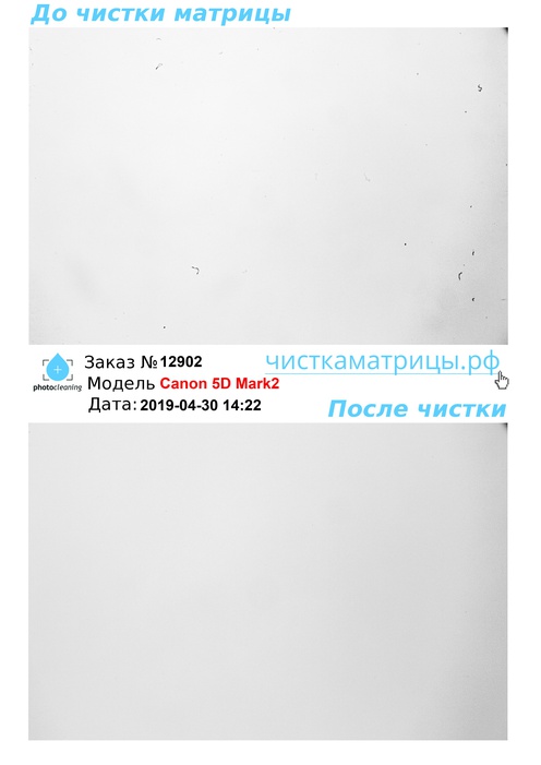Чистка матрицы Canon 5D Mark2 Чистка матрицы Canon 5D Mark2