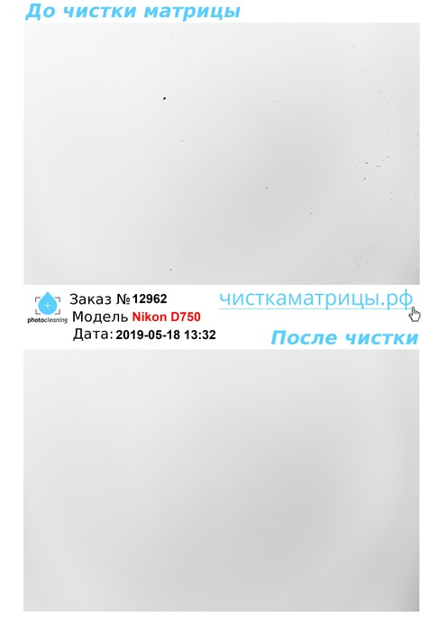 Чистка матрицы Nikon D750 Чистка матрицы Nikon D750
