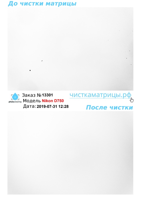 Чистка матрицы Nikon D750 Чистка матрицы Nikon D750