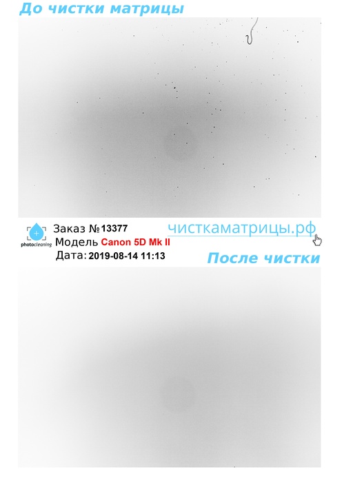 Чистка матрицы Canon 5D Mk II Чистка матрицы Canon 5D Mk II