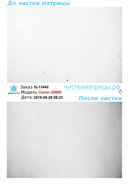 Чистка матрицы Canon 2000D Чистка матрицы Canon 2000D