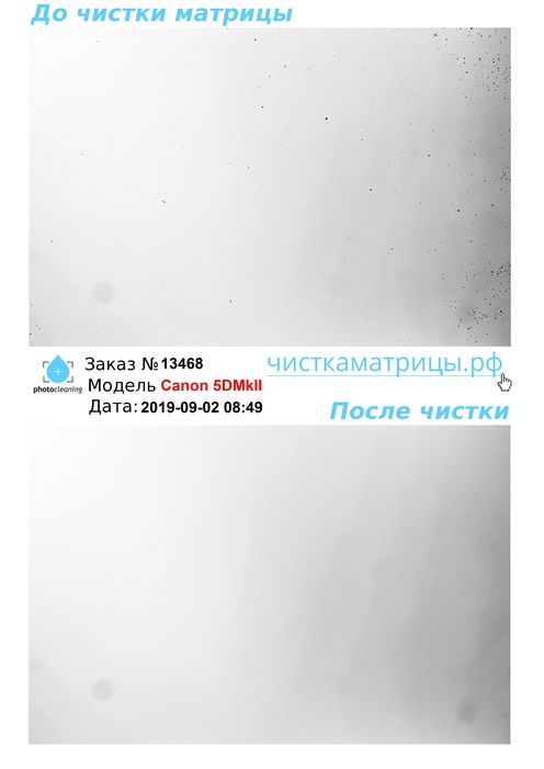 Чистка матрицы Canon 5DMkII Чистка матрицы Canon 5DMkII