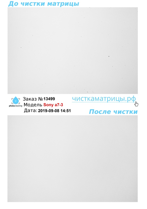 Чистка матрицы Sony a7-3 Чистка матрицы Sony a7-3