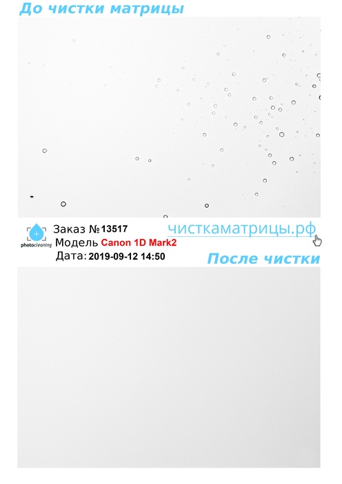 Чистка матрицы Canon 1D Mark2 Чистка матрицы Canon 1D Mark2