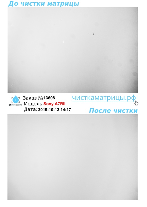 Чистка матрицы Sony A7RII Чистка матрицы Sony A7RII