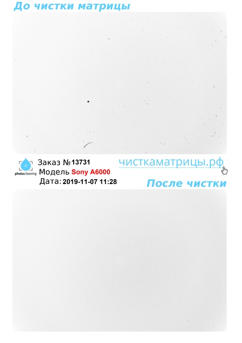 Чистка матрицы Sony A6000 Чистка матрицы Sony A6000