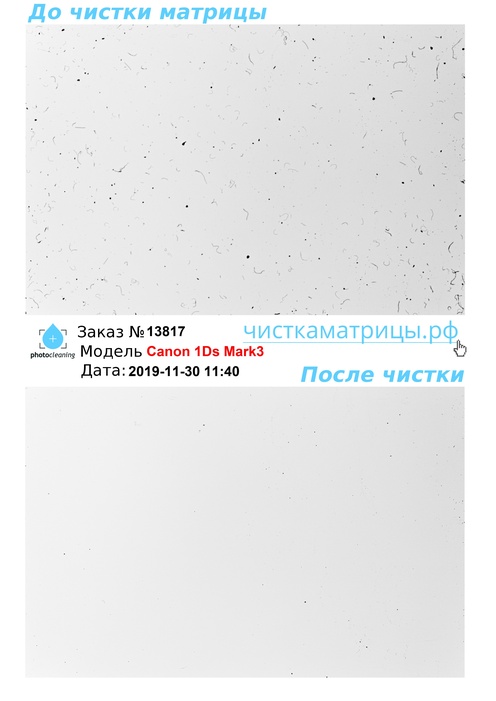 Чистка матрицы Canon 1Ds Mark3 Чистка матрицы Canon 1Ds Mark3