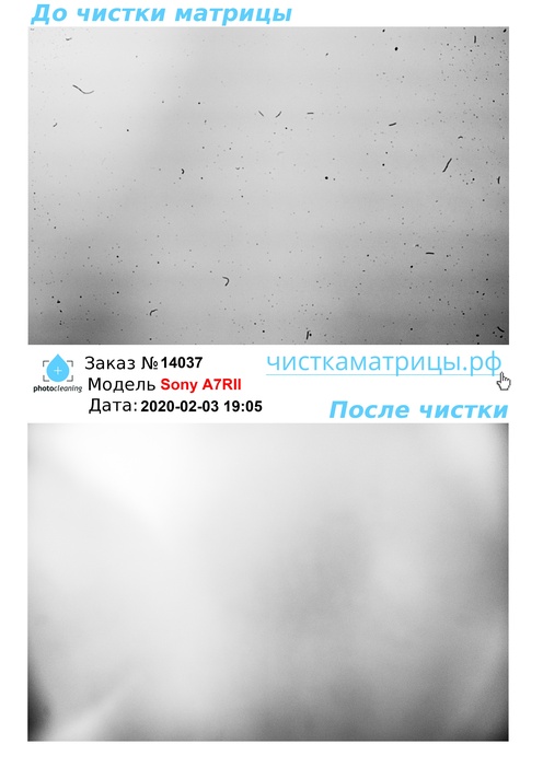 Чистка матрицы Sony A7RII Чистка матрицы Sony A7RII