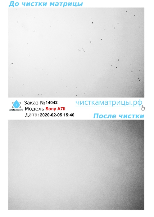 Чистка матрицы Sony A7II Чистка матрицы Sony A7II