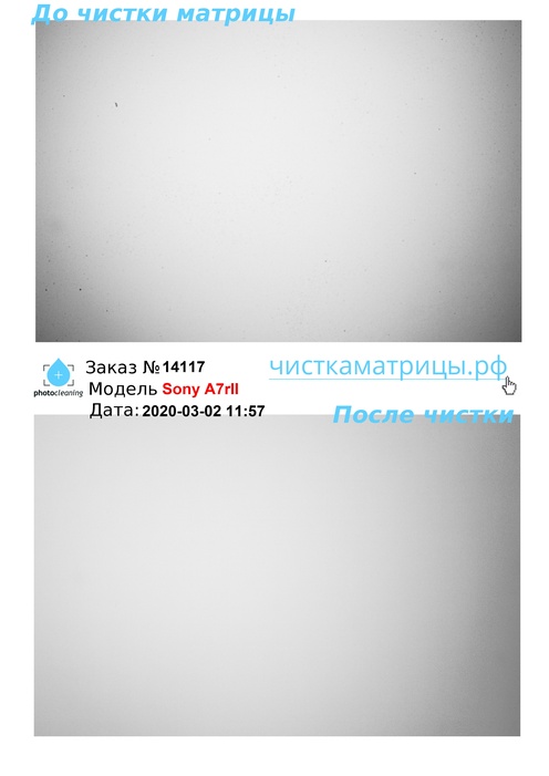 Чистка матрицы Sony A7rII Чистка матрицы Sony A7rII