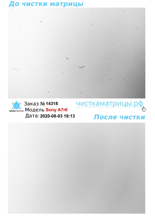Чистка матрицы Sony A7rII Чистка матрицы Sony A7rII