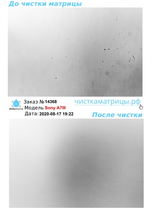 Чистка матрицы Sony A7III Чистка матрицы Sony A7III
