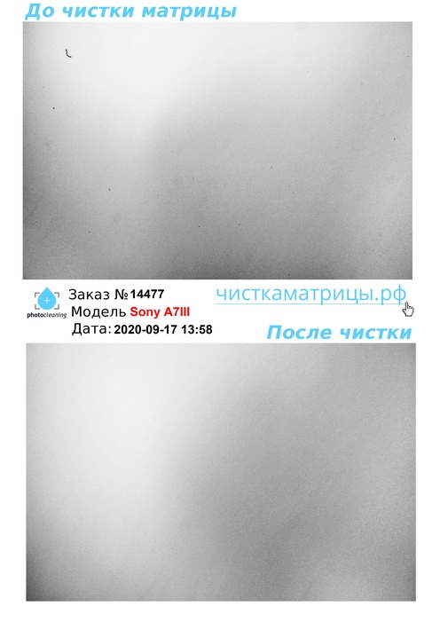 Чистка матрицы Sony A7III Чистка матрицы Sony A7III